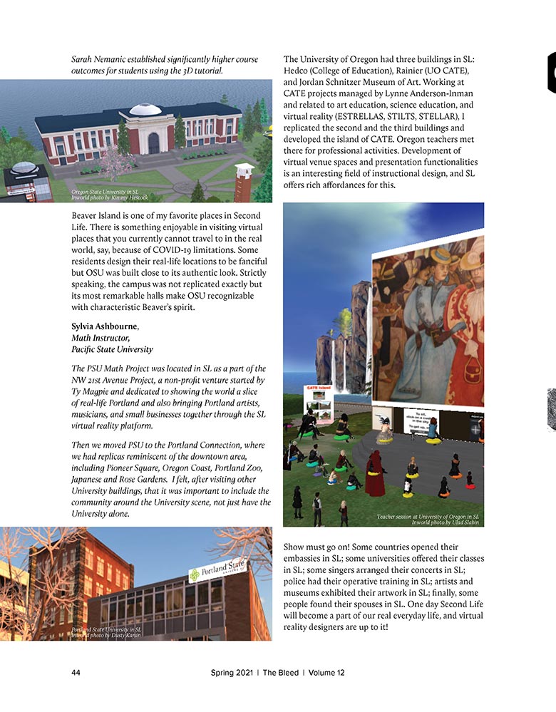 Second Life article in 'The Bleed'